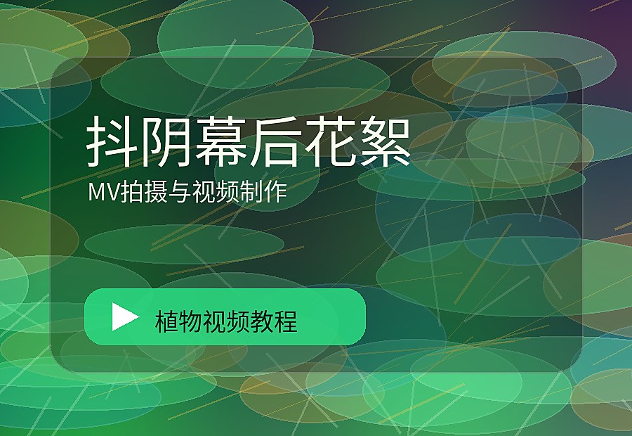 国品绿影