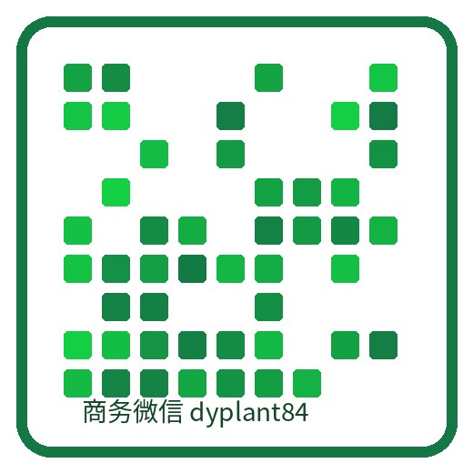 国品绿影