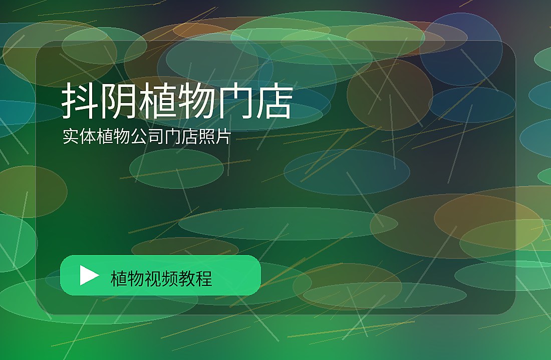 国品绿影